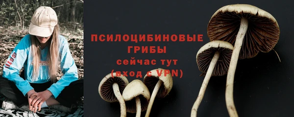 соль курить ск Киренск