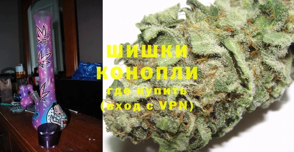 молекула духа Киреевск