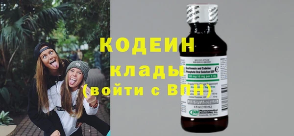 молекула духа Киреевск