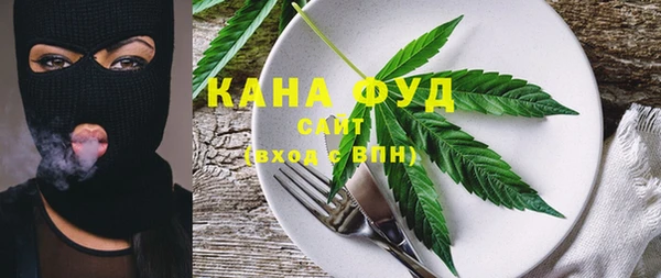 молекула духа Киреевск
