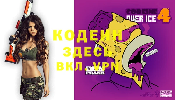 молекула духа Киреевск