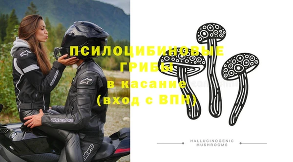 молекула духа Киреевск