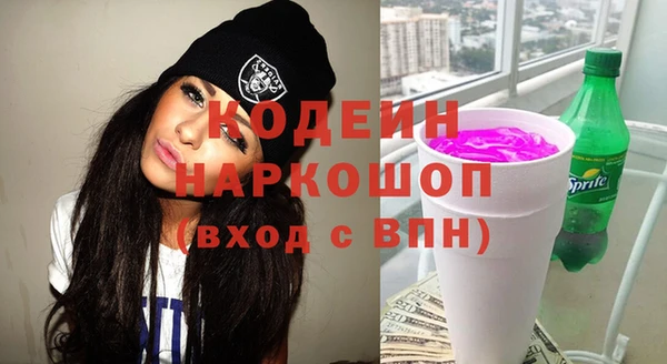 молекула духа Киреевск